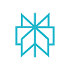 Perplexity AI